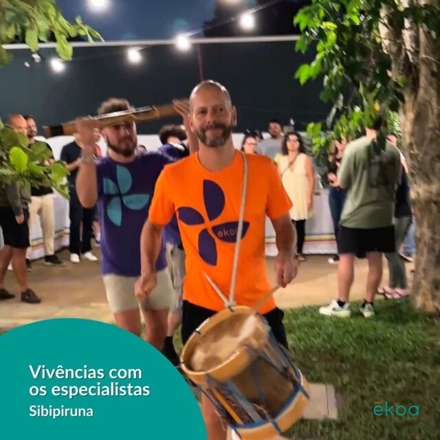 Alguns registros das vivências com os especialistas na Sibipiruna
