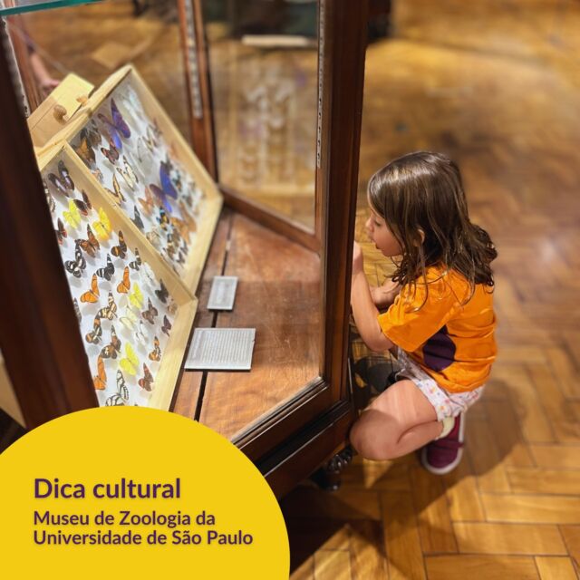 As crianças da TIIA estão realizando o projeto integrador "Grandezas do mundo animal". Assim, fizeram um estudo de campo no Museu de Zoologia da USP, o qual recomendamos a visita a todos.

"O Museu de Zoologia da Universidade de São Paulo tem como principal atividade compreender padrões e processos da Biodiversidade brasileira. Somos guardiões de uma das maiores coleções de nossa fauna. Sendo o Brasil um país megadiverso, que abriga cerca de 20% de toda a Biodiversidade do planeta, nossa tarefa não é trivial.​"

Onde: Avenida Nazaré, 481 – Ipiranga – São Paulo – SP – Brasil – CEP 04263-000